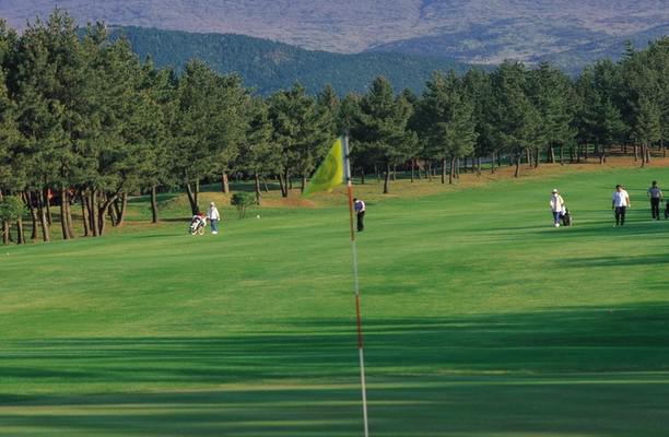 濟州島用wifi egg