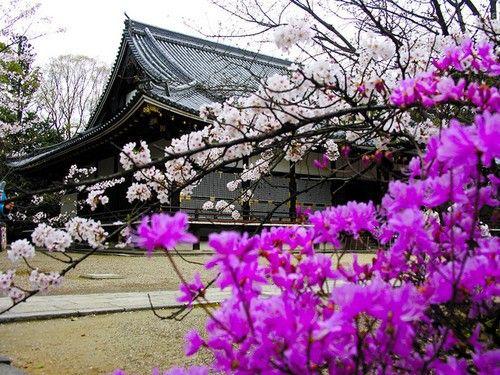 日本關西-關東自由行