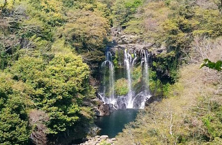 濟州島散步之旅